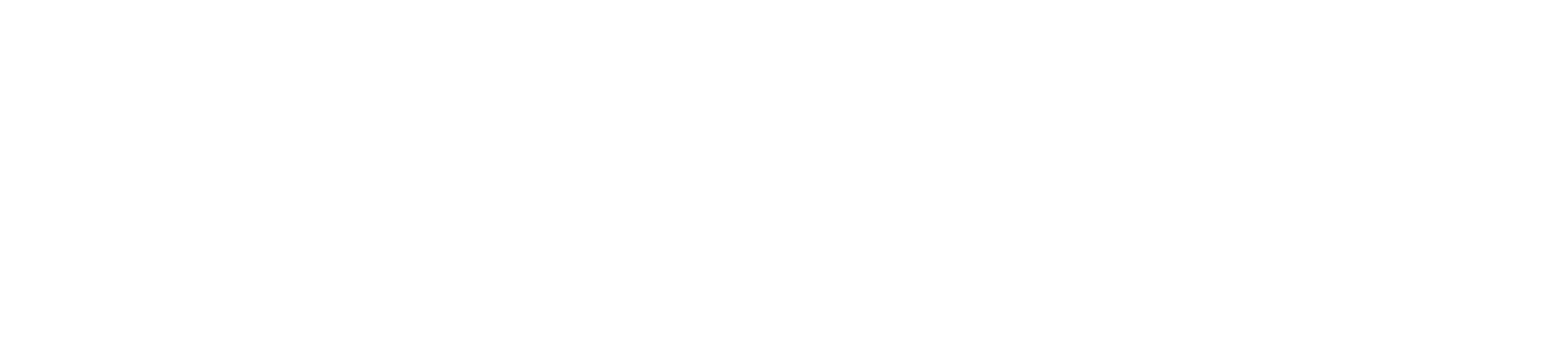 NanoX